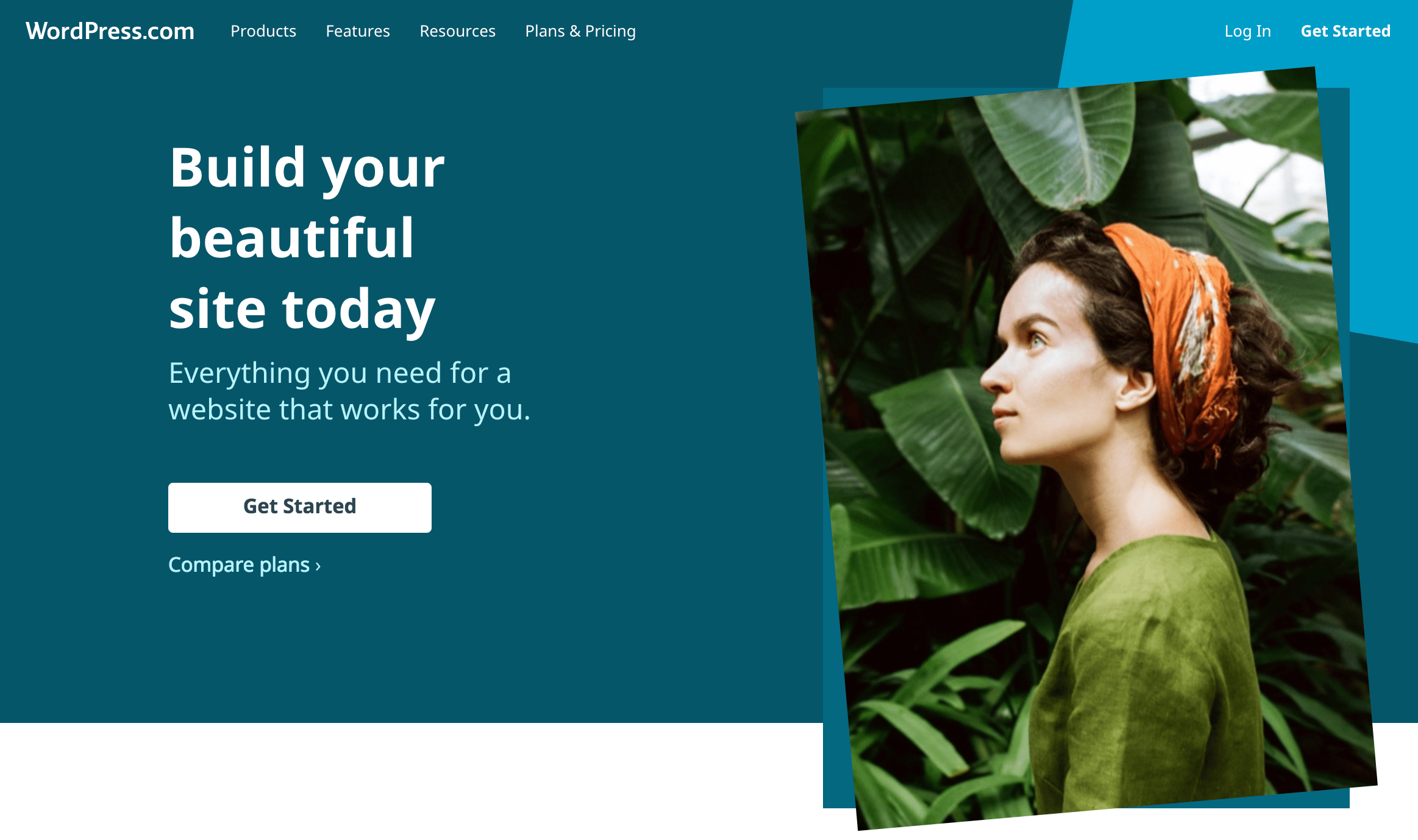 Screen Shot 2018-07-26 at 10.09.48 am