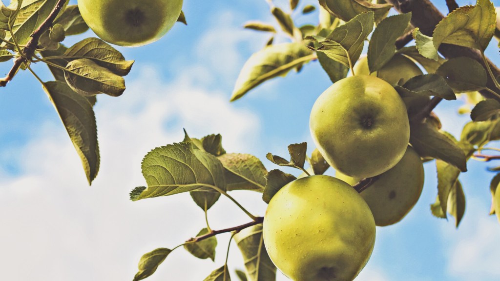 The Power of&nbsp;Choice